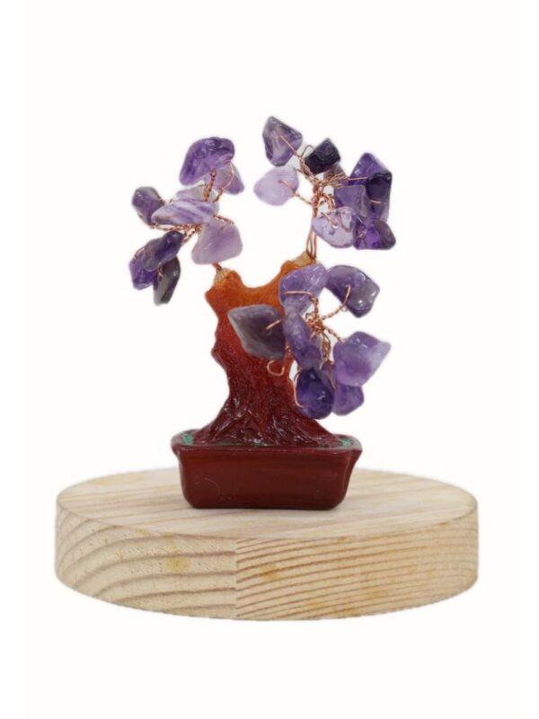 Amethyst Crystal Bonsai Money Tree